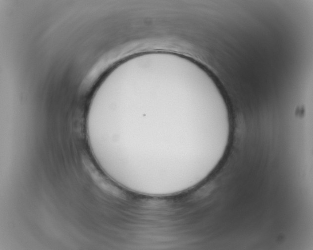 X0000113061499200909181947