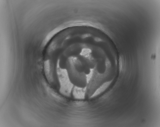 X0000113061501200909181947