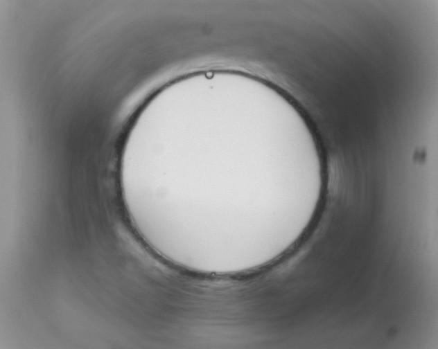 X0000113061502200909181947