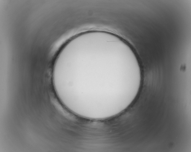 X0000113061503200909181947
