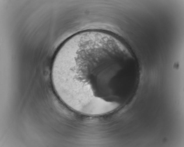 X0000113061505200909181947