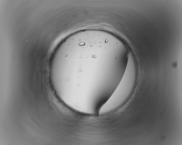 X0000113061506200909181947