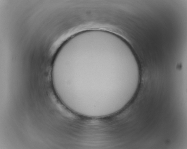 X0000113061507200909181947