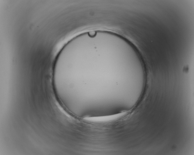 X0000113061508200909181947