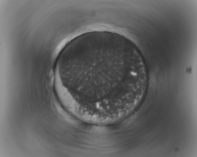 X0000113061509200909181947