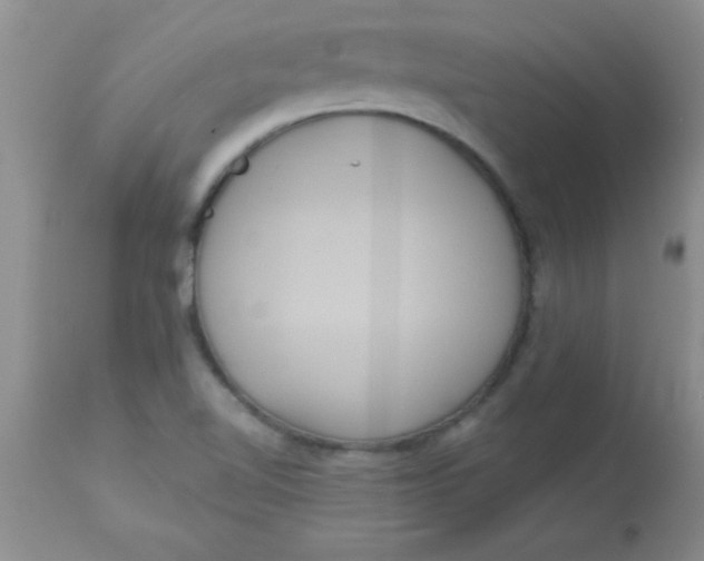 X0000113061510200909181948