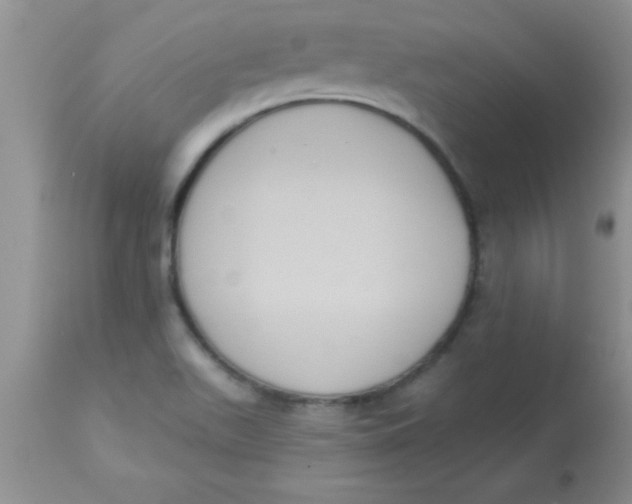 X0000113061511200909181948