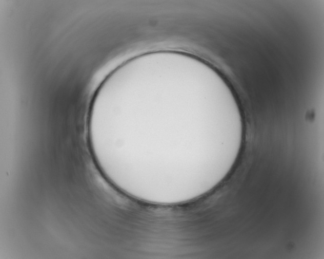 X0000113061512200909181948