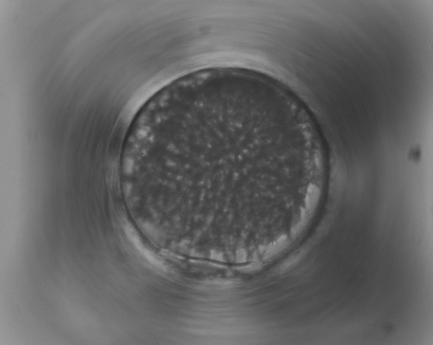 X0000113061513200909181948