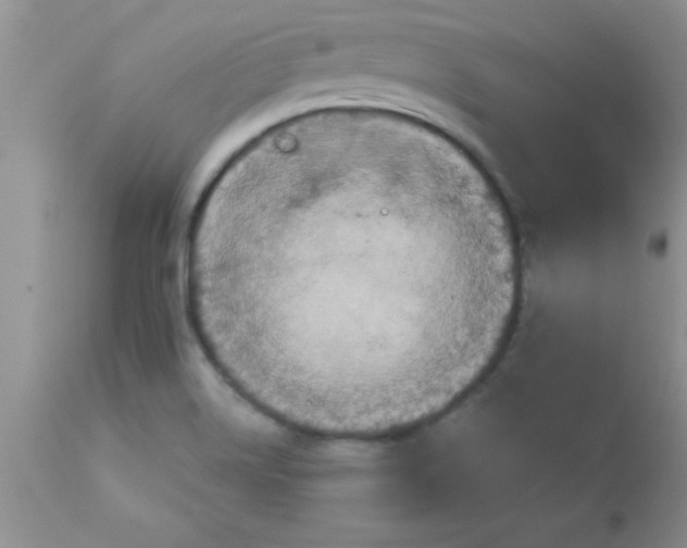 X0000113061514200909181948
