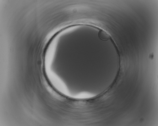 X0000113061515200909181948