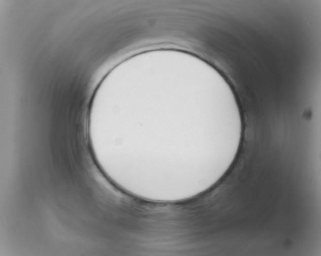 X0000113061516200909181948