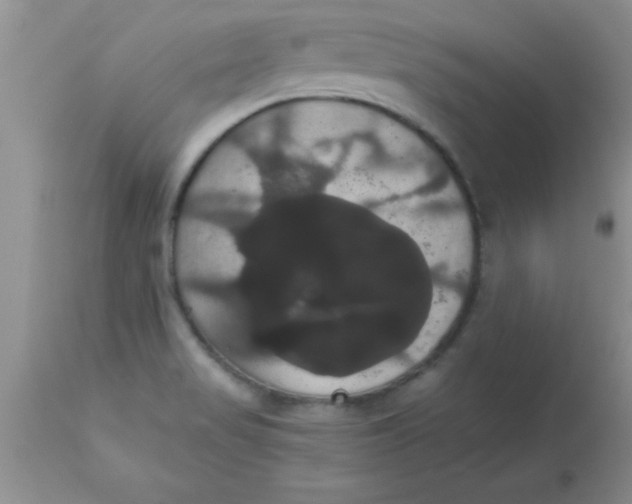 X0000113061517200909181948