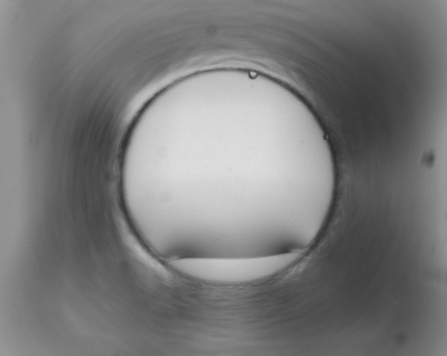 X0000113061518200909181948