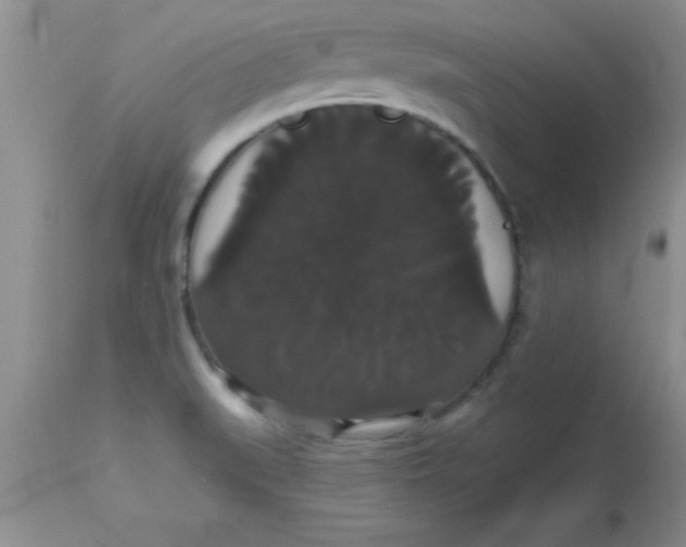X0000113061519200909181948