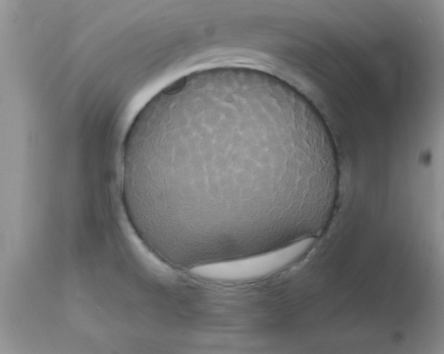 X0000113061520200909181948