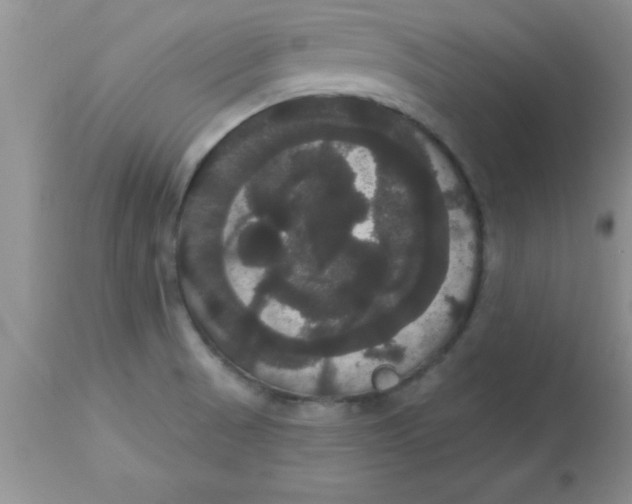 X0000113061521200909181948