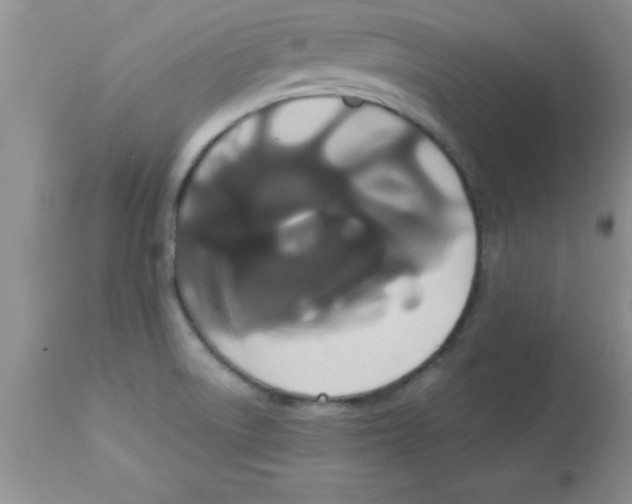 X0000113061522200909181948