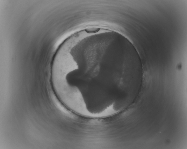 X0000113061523200909181948