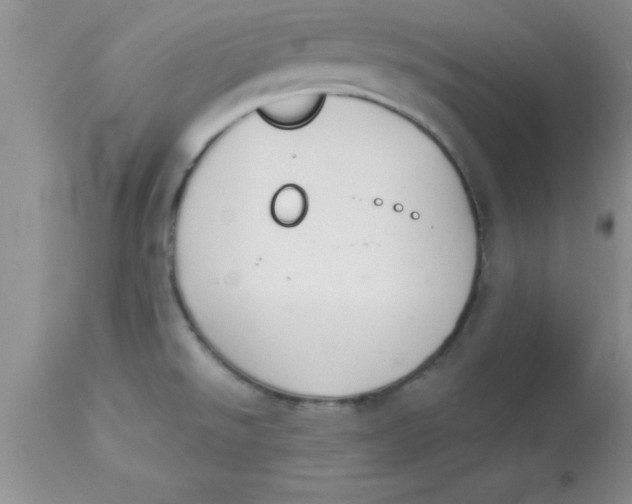 X0000113061526200909181948