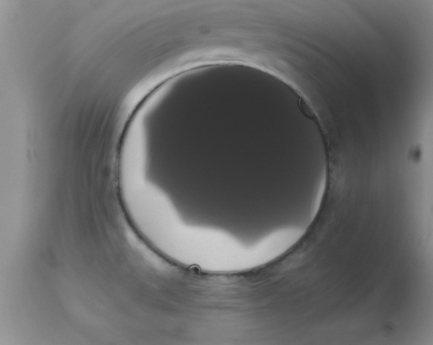 X0000113061527200909181948