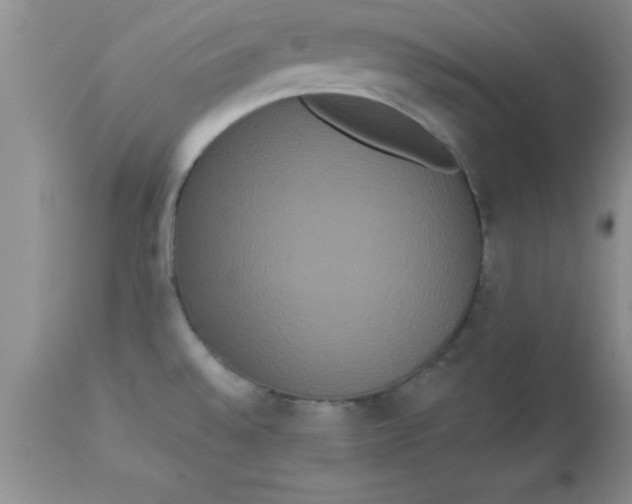 X0000113061528200909181948