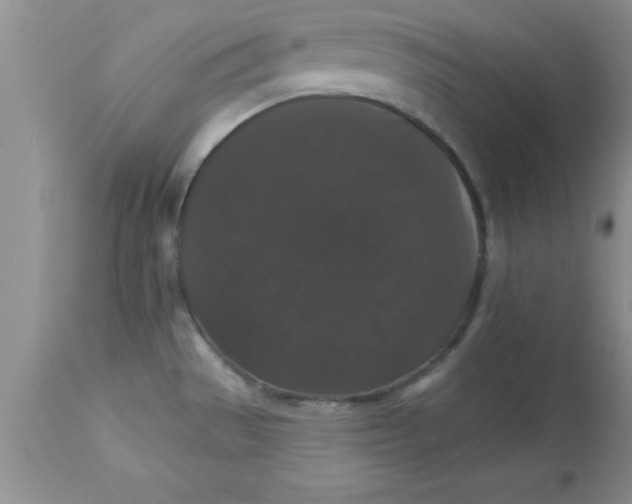 X0000113061529200909181948