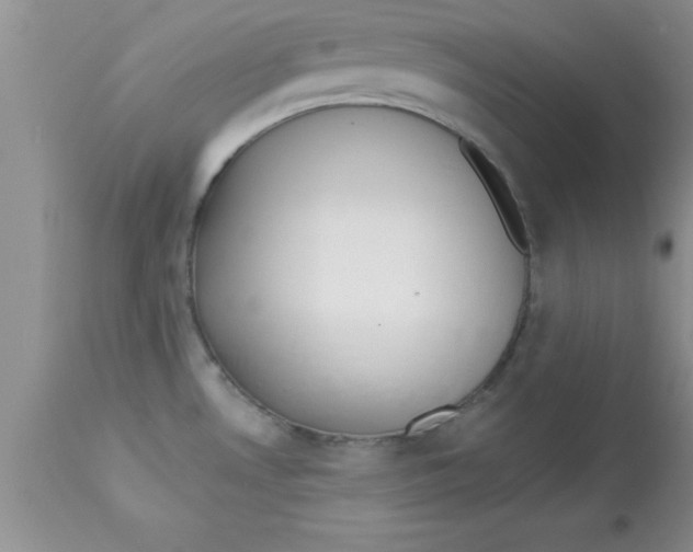 X0000113061530200909181948