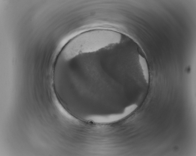 X0000113061531200909181948