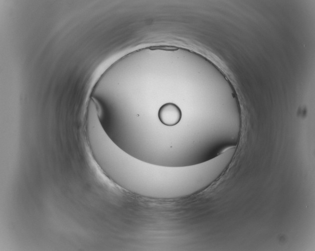 X0000113061536200909181948