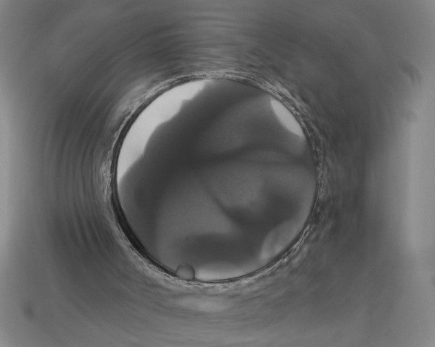 X0000113060002200909250918
