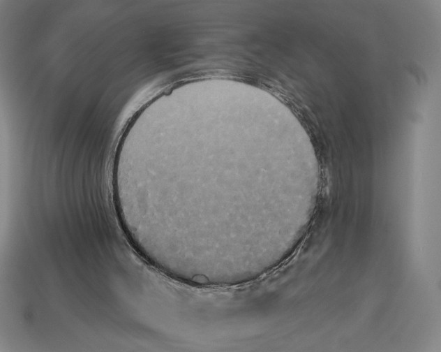 X0000113060004200909250918