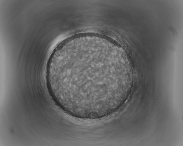 X0000113060006200909250918