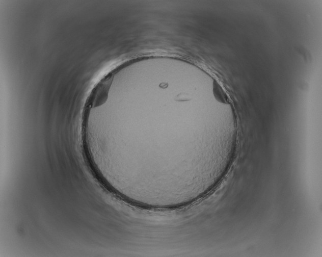 X0000113060008200909250918