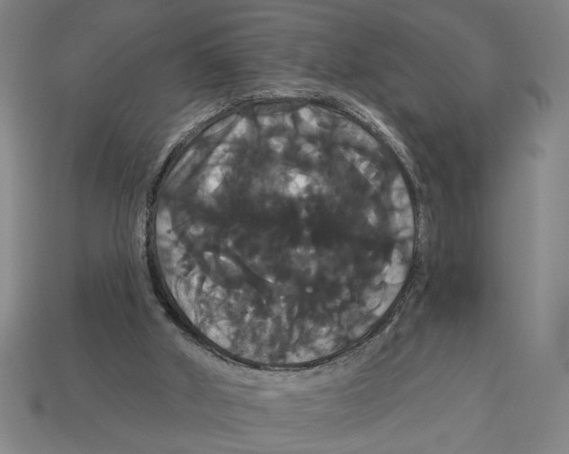X0000113060010200909250918