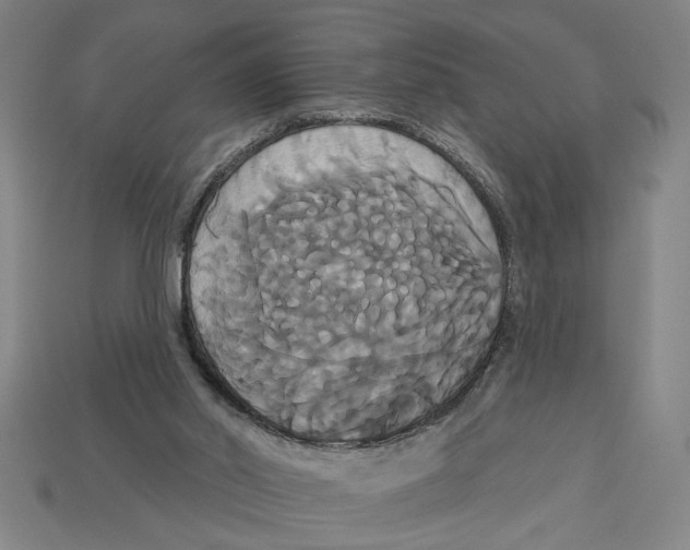 X0000113060014200909250918