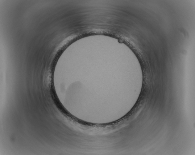 X0000113060016200909250918
