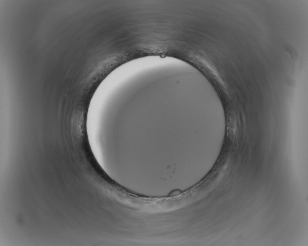 X0000113060023200909250918