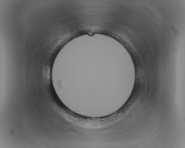 X0000113060024200909250918