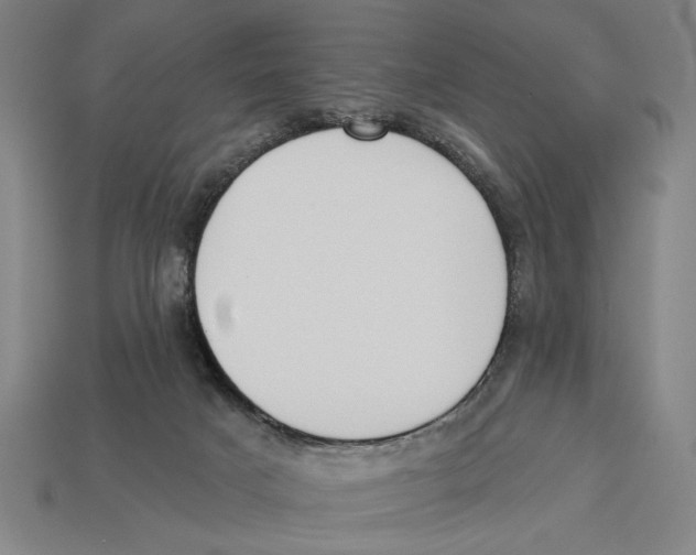 X0000113060025200909250918