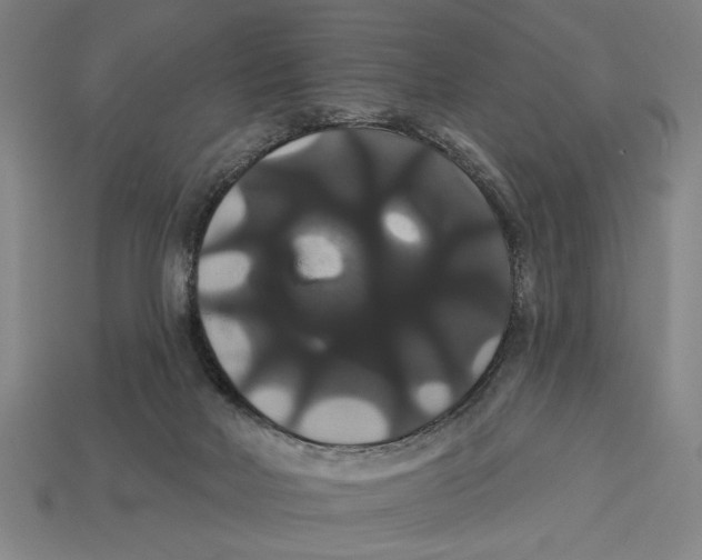 X0000113060026200909250918