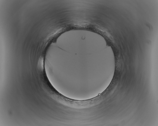 X0000113060027200909250918