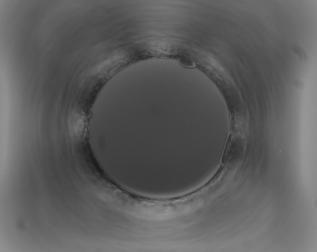 X0000113060029200909250918