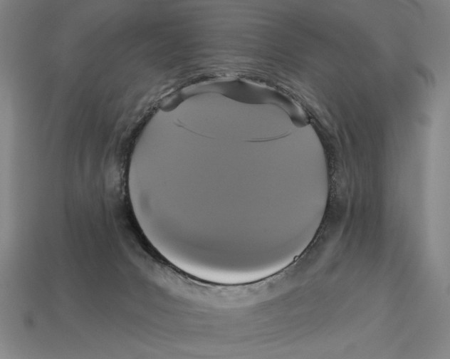 X0000113060031200909250918