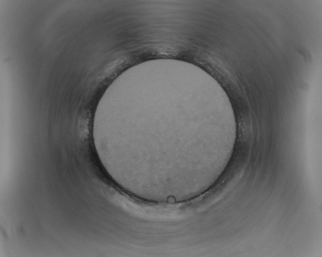 X0000113060032200909250918