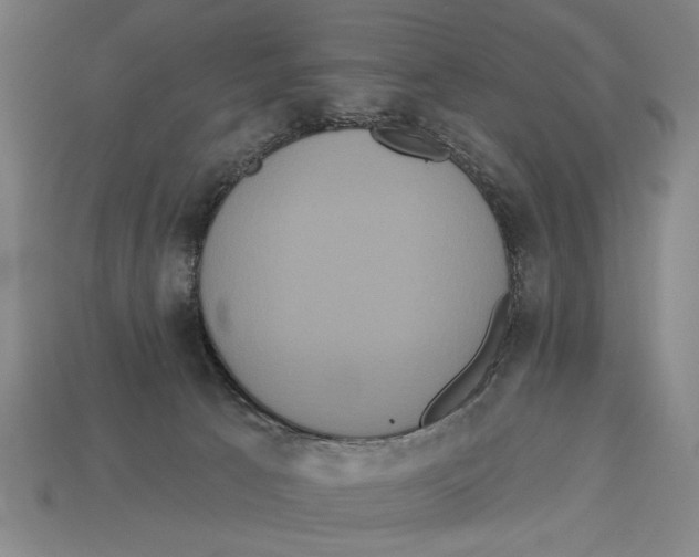 X0000113060033200909250917