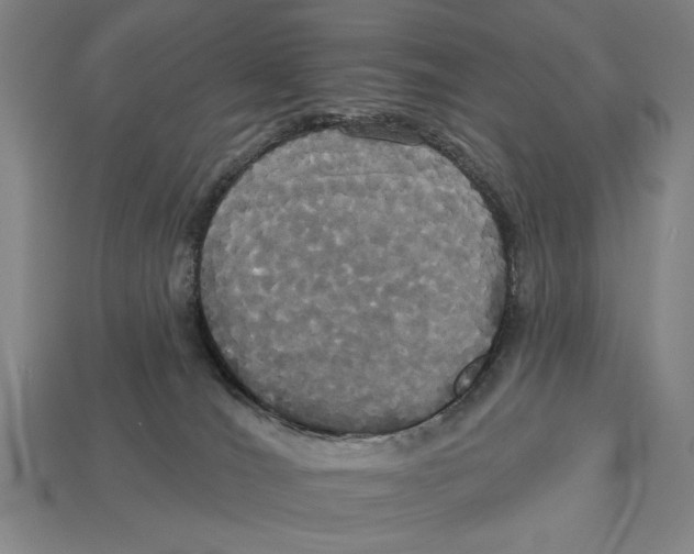 X0000113060036200909250917