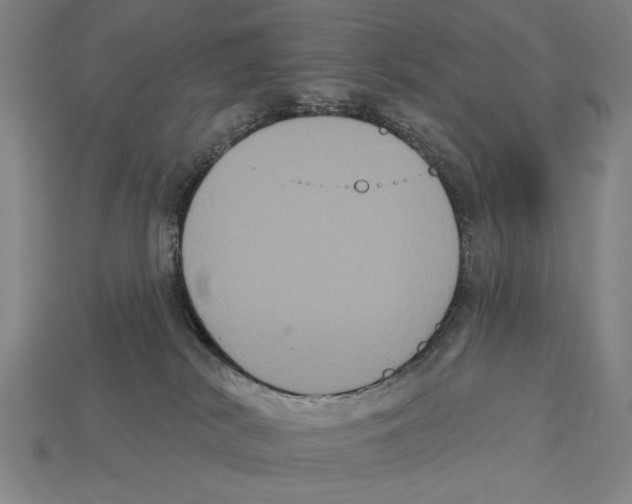 X0000113060038200909250917