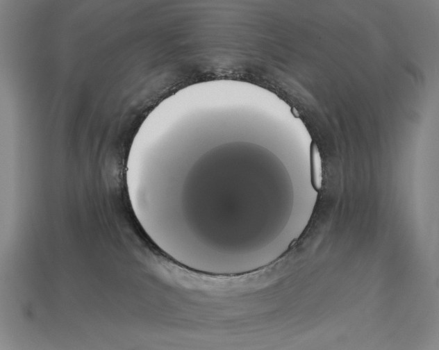 X0000113060039200909250917