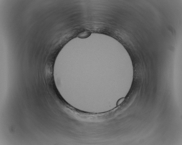 X0000113060040200909250917